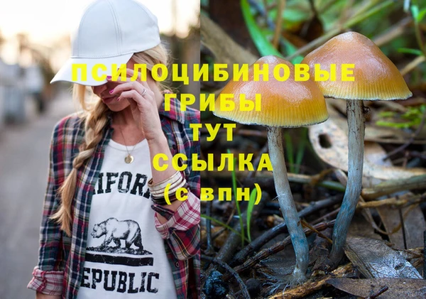 амфетамин Алексин