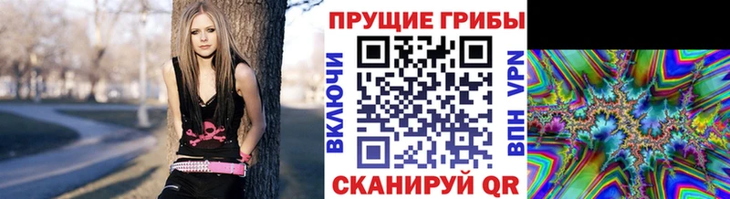 Псилоцибиновые грибы ЛСД хочу Обнинск